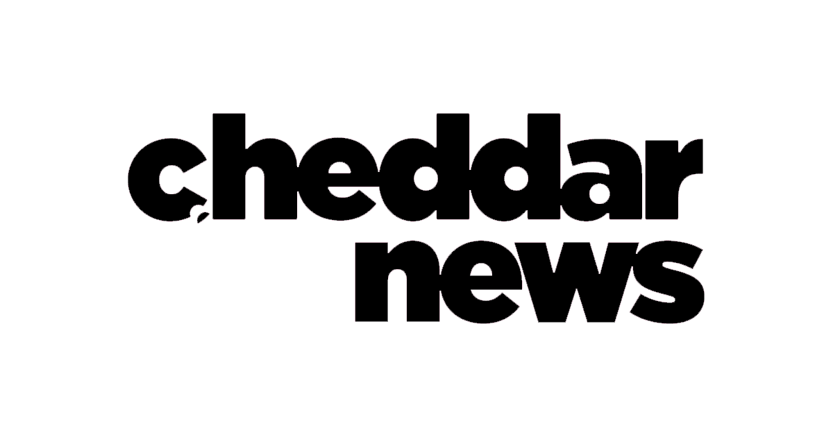 Cheddar News Logo